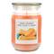 Orange Creamsicle Scented Jar Candle by Ashland&#xAE;
